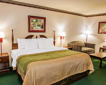 Standard Room, 1 King Bed, Non Smoking