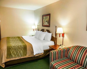 Standard Room, 1 King Bed, Non Smoking
