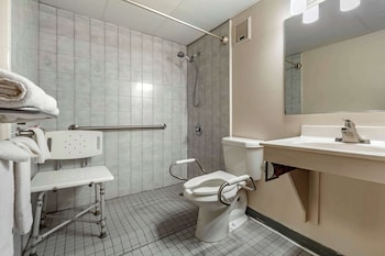 Room, 1 King Bed, Accessible, Non Smoking