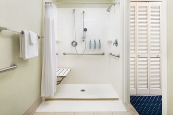 Room, 1 King Bed with Sofa bed (Mobility Accessible, Roll-In Shower)