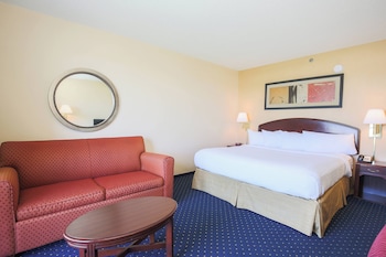 Room, 1 King Bed with Sofa bed
