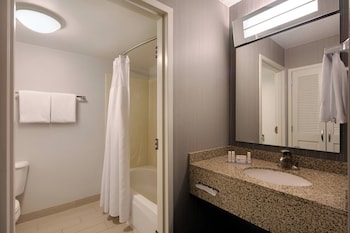 Suite, 1 King Bed with Sofa bed