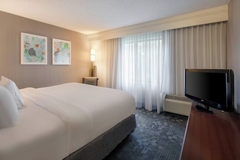 Suite, 1 King Bed with Sofa bed (Hearing Accessible)
