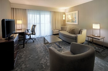 Suite, 1 King Bed with Sofa bed