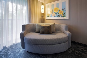 Room, 1 King Bed with Sofa bed