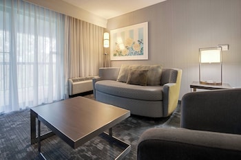Suite, 1 King Bed with Sofa bed (Hearing Accessible)