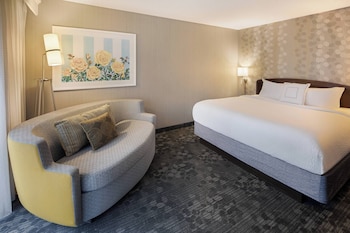 Room, 1 King Bed with Sofa bed