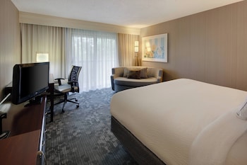 Room, 1 King Bed with Sofa bed