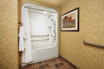 Basic Room, 1 King Bed