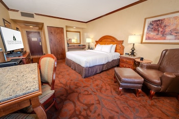 Basic Room, 1 King Bed
