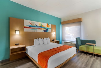 Suite, 1 King Bed, Non Smoking, Refrigerator & Microwave (with Sofabed)