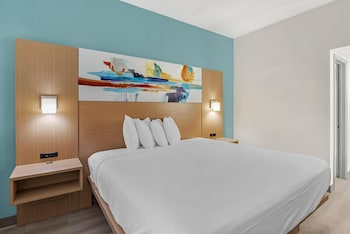 Standard Room, 1 King Bed, Non Smoking, Refrigerator & Microwave