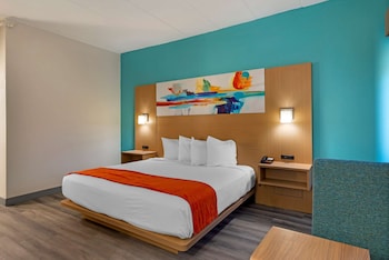 Suite, 1 King Bed, Non Smoking, Refrigerator & Microwave (with Sofabed)