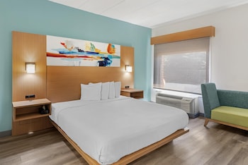 Standard Room, 1 King Bed, Accessible, Refrigerator & Microwave