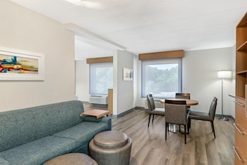 Suite, 1 King Bed, Non Smoking, Refrigerator & Microwave (with Sofabed)