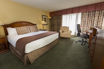 Room, 1 King Bed, Accessible