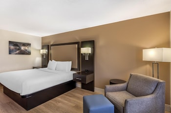 Standard Room, 1 King Bed, Accessible, Bathtub