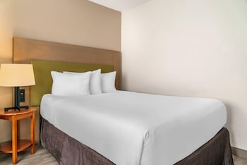 Room, 1 Queen Bed, Accessible, Non Smoking