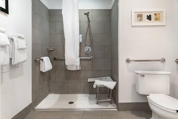 Room, 1 King Bed, Accessible, Non Smoking (Roll-in Shower)
