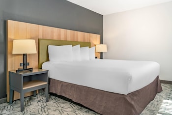 Room, 1 King Bed, Accessible, Non Smoking (Roll-in Shower)
