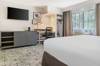 Premium Room, 1 King Bed, Non Smoking