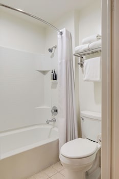 Studio Suite, 1 King Bed with Sofa bed