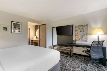 Room, 1 King Bed, Non Smoking