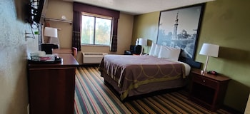 Room, 1 Queen Bed, Non Smoking