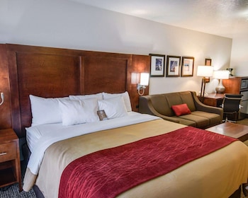 Room, 1 King Bed with Sofa bed, Non Smoking, Balcony (1 Person Sofabed)