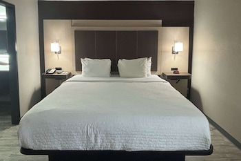 Suite, 1 King Bed with Sofa bed, Non Smoking