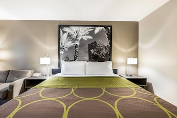 Room, 1 King Bed, Non Smoking