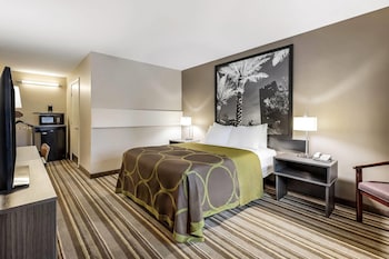 Room, 1 Queen Bed, Accessible, Non Smoking (Mobility/Hearing,roll-in shower)