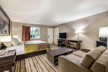 Studio Suite, 1 King Bed, Non Smoking (Mini Suite)
