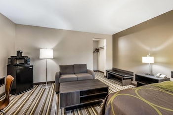 Studio Suite, 1 King Bed, Non Smoking (Mini Suite)