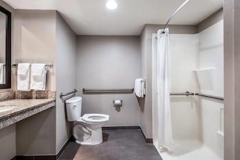 Room, 1 Queen Bed, Accessible, Non Smoking (Mobility/Hearing,roll-in shower)