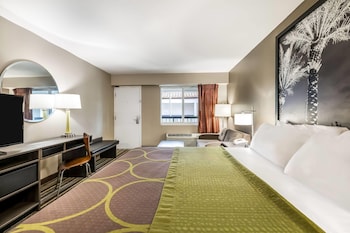 Room, 1 King Bed, Non Smoking
