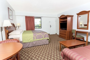 Room, 1 King Bed, Accessible, Non Smoking