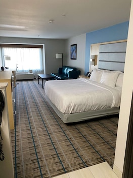 Standard Room, 1 King Bed, Accessible, Refrigerator & Microwave (with Sofabed)