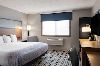 Room, 1 King Bed, Non Smoking