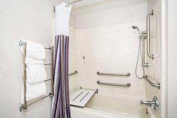 Room, 1 Queen Bed, Accessible, Non Smoking (Mobility/Hearing, Tub w/ Grab Bars)