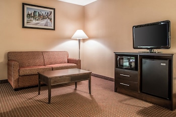 Suite, 1 King Bed with Sofa bed, Non Smoking
