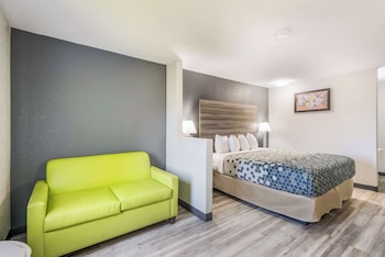 Suite, 1 King Bed