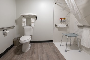 Standard Room, 1 King Bed, Roll-in Shower, Ground Floor
