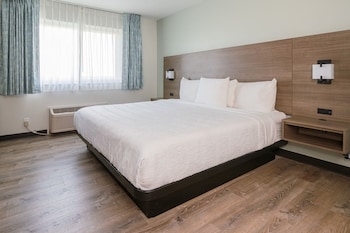 Standard Room, 1 King Bed, Roll-in Shower, Ground Floor
