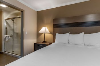 Standard Room, 1 King Bed, Non Smoking, Refrigerator & Microwave (Shower Only)
