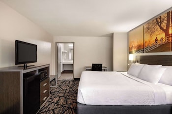 Room, 1 King Bed, Accessible, Non Smoking (Roll-In Shower)