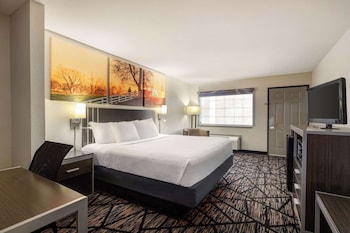 Room, 1 King Bed, Accessible, Non Smoking (Roll-In Shower)