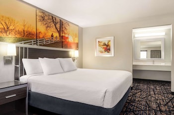 Standard Room, 1 King Bed, Non-Smoking