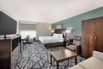 Standard Room, 1 King Bed, Non Smoking, Refrigerator & Microwave (with Sofabed)