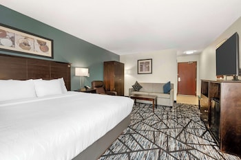 Standard Room, 1 King Bed, Non Smoking, Refrigerator & Microwave (with Sofabed)